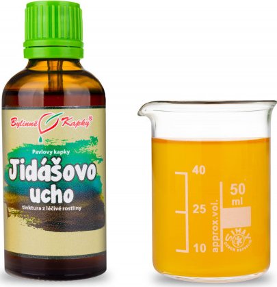 Bylinné kapky s.r.o. Jidášovo ucho tinktura 50 ml | Bylinné kapky