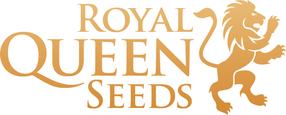 Royal Queen Seeds Wedding Cake Počet ks Feminizované: 10