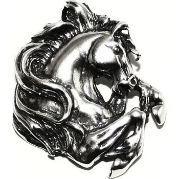 Přívěsek Stříbrný přívěsek kůň - P75 (Stříbrný přívěsek vzpínajícího koně)