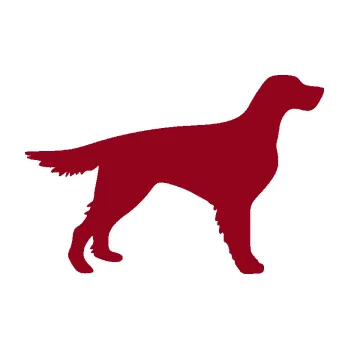 Polep vozidla SAMOLEPKA Pes 188 pravá Setr (07 - bordó vínová) NA AUTO, NÁLEPKA, FÓLIE, POLEP, TUNING, VLASTNÍ TEXT, TISK, AUTOSAMOLEPKY.cz, POLEPY, OBRÁZEK, LOGO, SAMOLEPKY