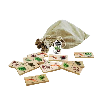 Dřevěná hračka Edukační domino - lesní dřeviny