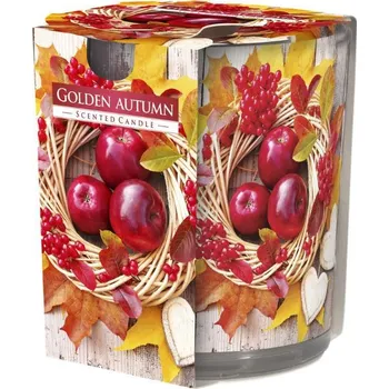 Svíčka VONNÁ SVÍCE VE SKLE ZLATÝ PODZIM > varianta Výprodej-poslední kusy