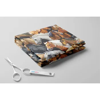 Softshell zimní, Koně Barva: Antracit