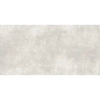 Dlažba EBS Alpha dlažba 30,3x61,3 ceniza matná 015.722.0019.05202