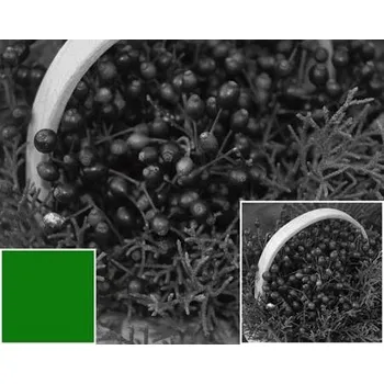 COKIN filtr Z004 zelený