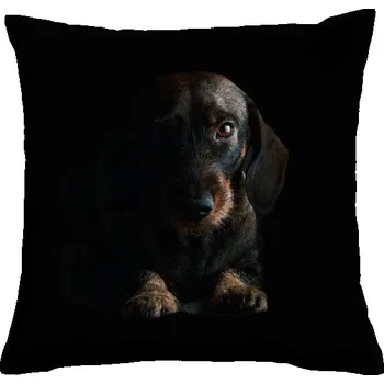 Pánská móda Polštář bavlněný s potiskem Drsnosrstý Jezevčík