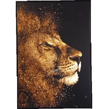 Obraz Obraz v rámu SHADOW 59x84 cm Lev Gold