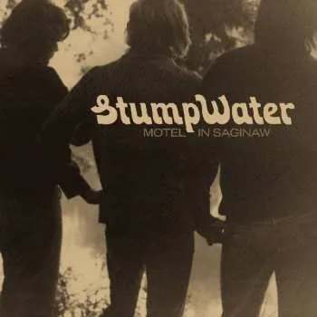 Zahraniční hudba LP Stumpwater: Motel In Saginaw 2019 Plus Original 45 Single Vinyl