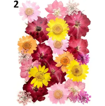 Sušené a lisované květiny do pryskyřice „C“ Druh: 2