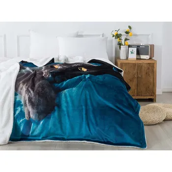 deka XPOSE® Mikroplyšová deka KOČKA 6 s beránkem 140x200 cm modrá