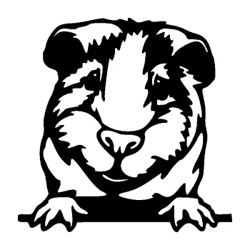 Samolepící dekorace SAMOLEPKA Morče 004 levá (01 - černá) NA AUTO, NÁLEPKA, FÓLIE, POLEP, TUNING, VLASTNÍ TEXT, TISK, AUTOSAMOLEPKY.cz, POLEPY, OBRÁZEK, LOGO, SAMOLEPKY