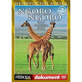 DVD film DVD Ngorongoro: život v kráteru sopky (Nejdivočejší Afrika)