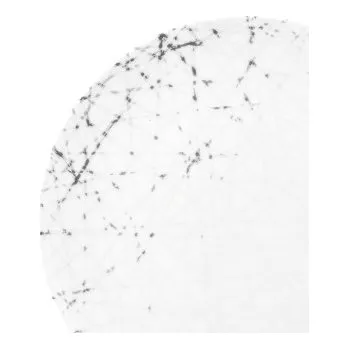 Talíř Pečivový talíř 18 cm LIBERTY BRACE, stříbrná, Seltmann Weiden