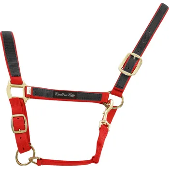 Vybavení pro koně Umbria Equitazione Ohlávka nylonová Colored Parts Umbria Equitazione, red/black PONY