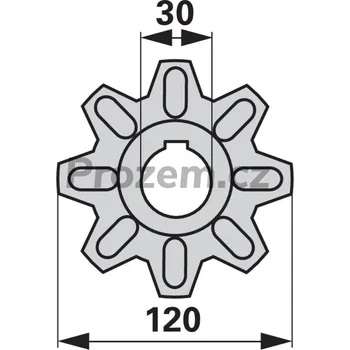 Auto-moto Řetězové kolo pro Deutz Fahr, 8 zubů, 120/30 mm, 06517389