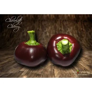 Semeno chilli-semena Chocolate Cherry