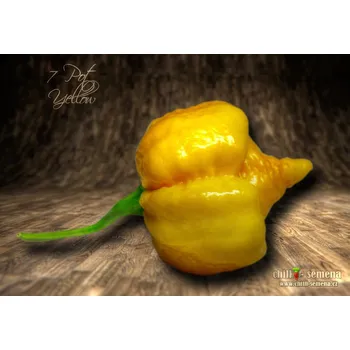 Semeno chilli-semena 7 Pot Yellow