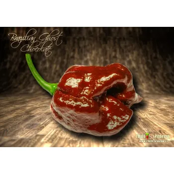 Semeno chilli-semena Brazilian Ghost Chocolate