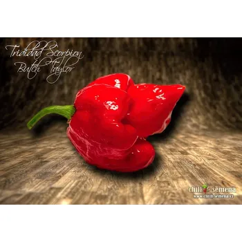Semeno chilli-semena chilli Trinidad Scorpion Butch T 10 ks
