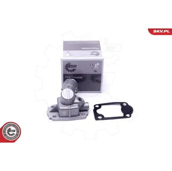 Těsnění motoru Termostat, chladivo ESEN SKV 20SKV168
