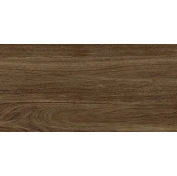 Dlažba Massimo brown - dlažba 30x60 hnědá mat 164903