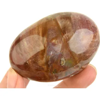 Přírodní kámen Hladký kámen zkamenělé dřevo (Madagaskar) 158g