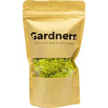 Obraz Stabilizovaný lišejník Island 50 g, světle zelená