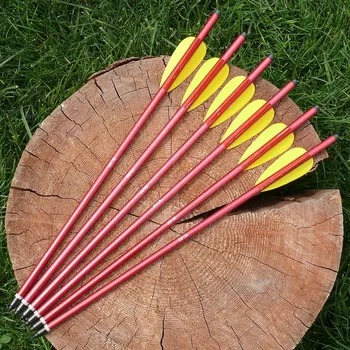 Karnevalový kostým Haller Šípy do kuše 13,5"