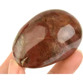 Přírodní kámen Hladký kámen zkamenělé dřevo (Madagaskar) 79g