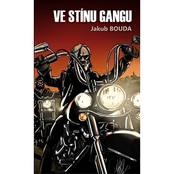 Kniha Ve stínu gangu