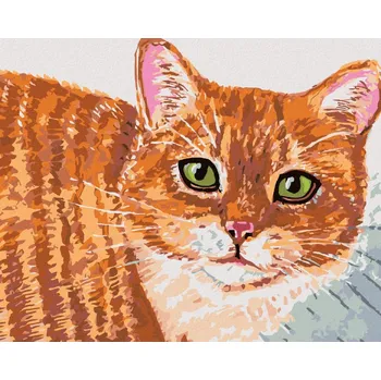 Diamondi Diamantové malování - BÉŽOVÁ KOČKA A ZELENÉ OČI Rozměr: 40x50 cm, Rámování: bez rámu a bez vypnutí plátna