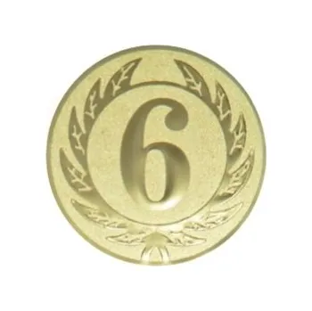 Kovový emblém - 6. místo (099)