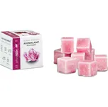 Anděl Přerov Vonný vosk 8x 3,75 g