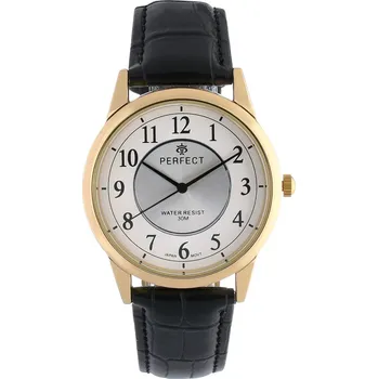 Hodinky Pánské hodinky C402U černé