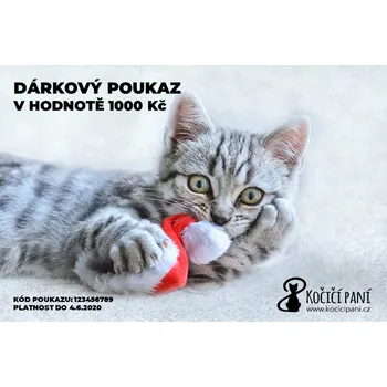 Dárková krabička Vánoční dárkový poukaz e-mailem Číslo: 1000 Kč