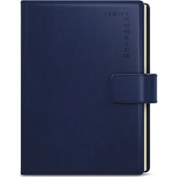 Diář Baloušek Tisk Ctirad Manager A5 denní 2024, modrý