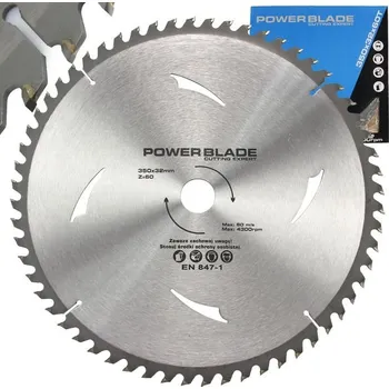 Pilový kotouč Kotouč pilový s SK plátky (vidiový), 350x60Tx32mm POWER BLADE