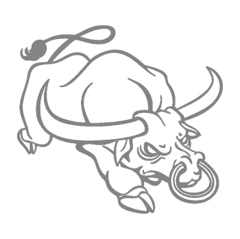 Samolepící dekorace SAMOLEPKA Býk 014 pravá rozzuřený (17 - šedá) NA AUTO, NÁLEPKA, FÓLIE, POLEP, TUNING, VLASTNÍ TEXT, TISK, AUTOSAMOLEPKY.cz, POLEPY, OBRÁZEK, LOGO, SAMOLEPKY