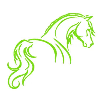 Samolepící dekorace Kůň 104 pravá (04 - zelená kawasaki) SAMOLEPKA NA AUTO, NÁLEPKA, FÓLIE, POLEP, TUNING, VLASTNÍ TEXT, TISK, AUTOSAMOLEPKY.cz, POLEPY, OBRÁZEK, LOGO, 3D STICKERS