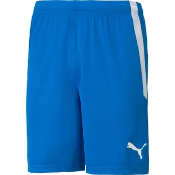 Pánské kraťasy Pánské kraťasy na volný čas Puma TEAMLIGA SHORTS modré 704924-02 - L | UK 11 | US 12