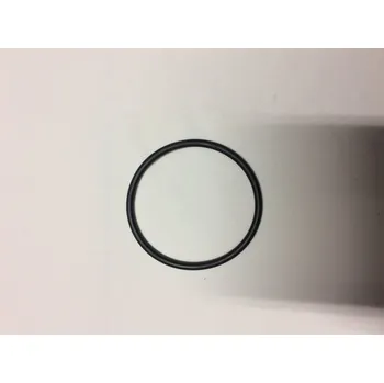 Pooltechnika Těsnění víka předfiltru PREVA