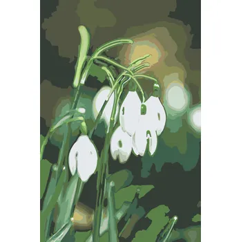 Malování podle čísel - Konvalinky Velikost: 40x60cm, Rámování: Pouze srolované plátno