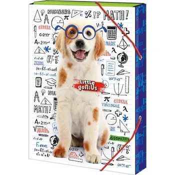 desky na sešit ARGUS Školní box na sešity A5 Little Genius 12410366
