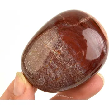 Přírodní kámen Kámen zkamenělé dřevo 172g