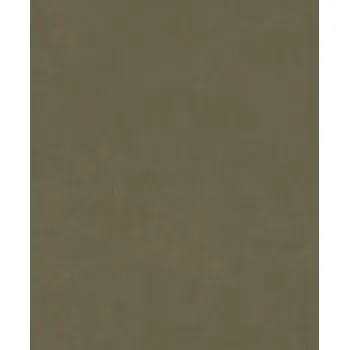 Tapeta Vliesová tapeta jednobarevná hnědá 330120 / Tapety na zeď Paraiso (0,53 x 10,05 m) Rasch