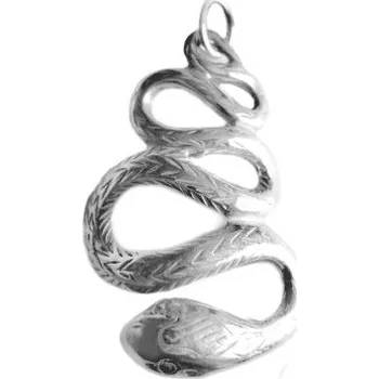 Přívěsek Stříbrný přívěsek had čiré zirkony - P739 (Stříbrný přívěsek had se zirkony)