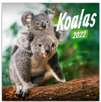 Kalendář PRESCO GROUP Poznámkový kalendář Koaly