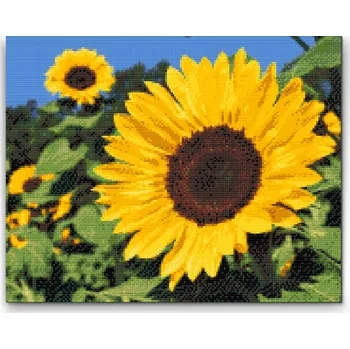 Diamantové malování Diamantové malování - Slunečnice Velikost: 30x40cm, Rámování: Pouze srolované plátno, Diamanty: Čtvercové