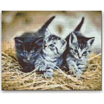 Diamantové malování Diamantové malování - Koťata Velikost: 30x40cm, Rámování: Pouze srolované plátno, Diamanty: Čtvercové
