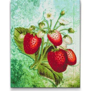 Diamantové malování Diamantové malování - Jahodová sezóna Velikost: 30x40cm, Rámování: Pouze srolované plátno, Diamanty: Kulaté